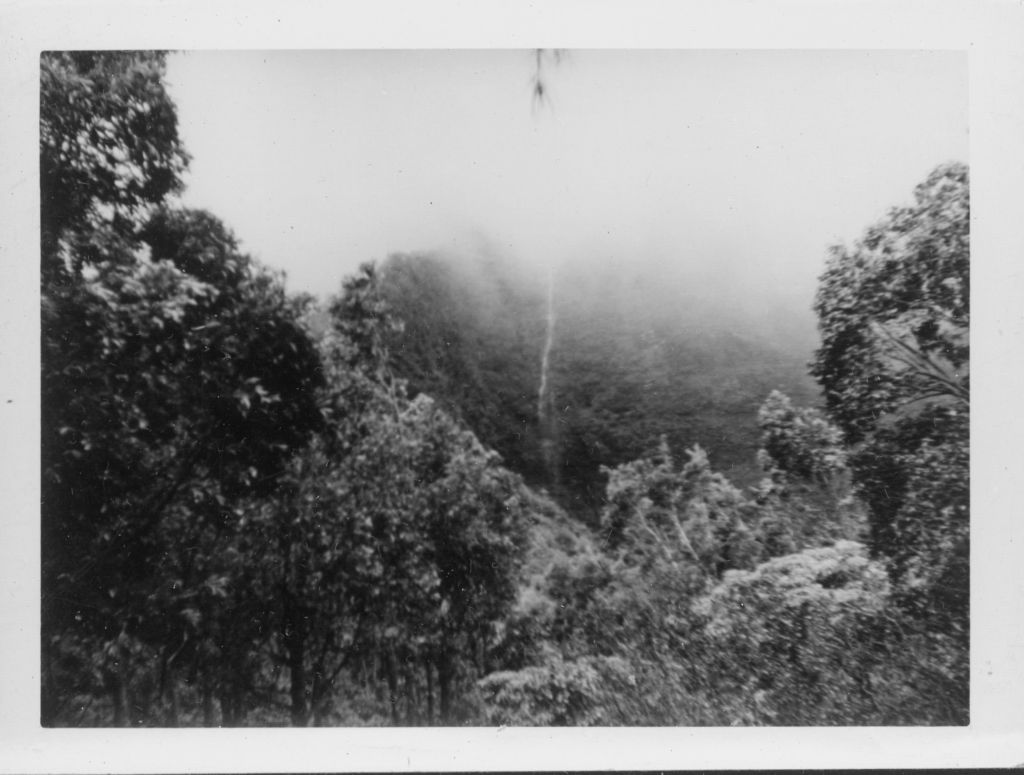 UMAX Data System Inc.