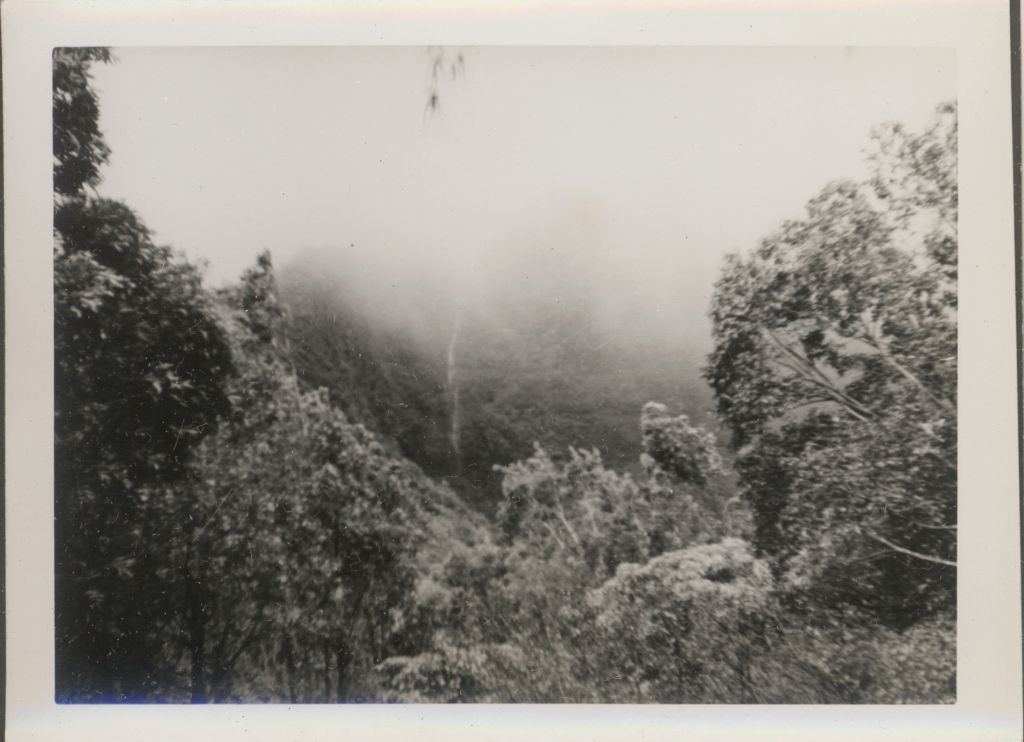 UMAX Data System Inc.